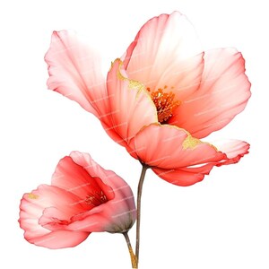 10 elegante rosa Blumen Clipart, Aquarell Blumen, Floral Clipart, hochwertige PNGs, Sublimation Design, ClipArt für Karten, Einladungen
