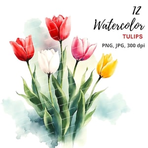 12 Watercolor Tulips Clipart, Tulip Bouquet, Flowers Clipart, Red Tulips Art, High Quality PNGs for Junk Journaling Scrapbooking Card Making