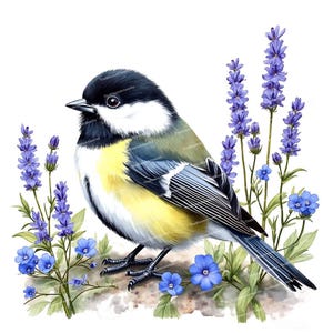 12 Chickadee Clipart, Blumenvogel, druckbare Aquarell Clipart, hochwertige JPGs, digitaler Download, Kartenherstellung, Junk Journal Zubehör