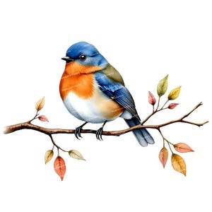 12 Clipart di uccelli su un ramo, uccelli acquerellati, uccelli con fiori di ciliegio, PNG di alta qualità, design a sublimazione, clipart per biglietti e inviti