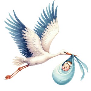 14 images de cigognes à l'aquarelle, images de nouveau-né, décoration de chambre d'enfant, faire-part de naissance, PNG/JPG haute qualité, scrapbooking, journal intime