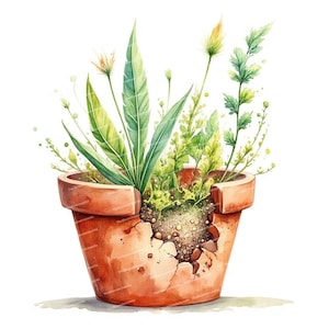 12 illustrations de pots de fleurs cassés, illustration de plantes en croissance, aquarelle botanique, fichiers JPG haute qualité, téléchargement numérique, Junk Journals