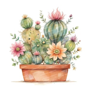 13 Watercolor Cactus Clipart, Blooming Cactus, Cactus Clip Art, Cactus Printable, High Quality JPGs, Digital Download, Junk Journals