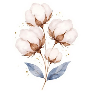 14 fleurs de coton aquarelle, fleurs pastel douces, fleurs bohèmes, JPG haute qualité, scrapbooking, cartes de vœux