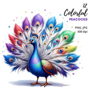 12 images de paons colorés, illustrations d'oiseaux fantaisistes et adorables, illustrations de paons vibrantes, fichiers PNG/JPG de haute qualité pour la création de cartes de journal intime.