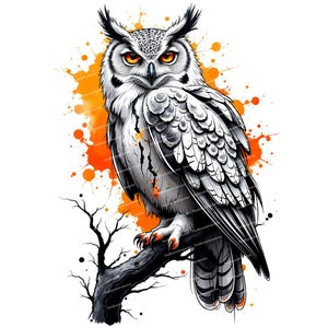 14 cliparts de hibou, hibou aquarelle, illustration de hibou, graphiques de hibou, clipart de hibou, clipart d'oiseau, JPG de haute qualité, téléchargement numérique, Junk Journal