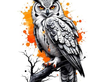 14 フクロウのクリップアート、水彩フクロウ、フクロウのイラスト