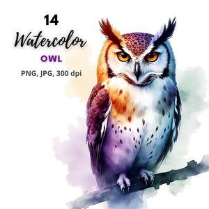 14 Aquarel Uil Clip Art, Vliegende Uil, Afdrukbare Uil, Uil Illustratie, Uil Sublimatie, Hoge Kwaliteit PNG, Digitale Download, Junk Journal