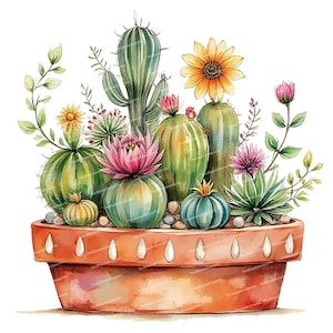 May include: Watercolor illustration of various cacti and succulents in a terracotta pot. The arrangement includes green, spherical cacti with pink and yellow flowers, and small, decorative stones. The pot has a decorative edge.