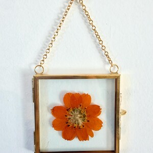 May include: A square, gold-toned metal frame with a chain for hanging, showcasing a dried orange flower. The flower is centered on a white background, and the frame has a simple, elegant design.