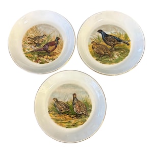 May include: Three white ceramic plates with gold-toned rims, each featuring a detailed, colorful illustration of game birds in a natural grassy habitat. The plates display various species of pheasants and grouse in outdoor settings.