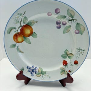 Puede incluir: Un plato redondo de cerámica blanquecina con un borde azul claro. El plato está decorado con ilustraciones de manzanas, cerezas, uvas y fresas. Las ilustraciones de frutas son en tonos rojos, morados y verdes. El plato se exhibe en un soporte marrón.