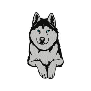 May include: A black and white illustration of a husky dog with blue eyes, sitting with its paws crossed in front of it.