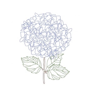 May include: A line drawing of a hydrangea flower with blue petals and green leaves. The flower is on a brown stem.