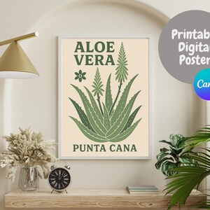 Aloe vera poster - Etsy sterreich