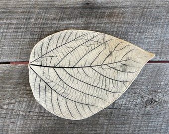 May include: A delicate, dried leaf with intricate veins, displayed on a weathered wooden surface. The leaf is a light beige color with dark brown veins.
