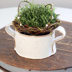 Puede incluir: Una maceta de cerámica blanca con dos asas, con un nido de ramitas y una pequeña planta verde con flores blancas.