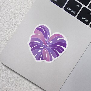 May include: A purple and pink monstera leaf sticker on a silver laptop.
