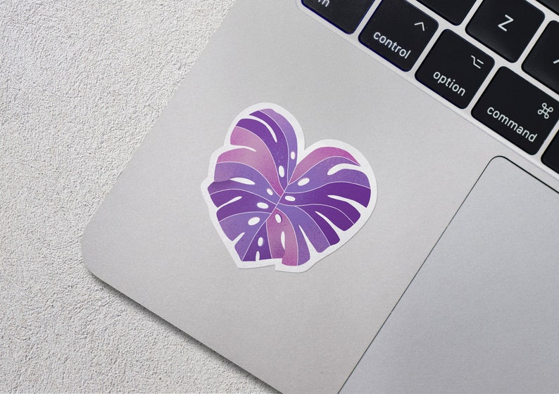 May include: A purple and pink monstera leaf sticker on a silver laptop.