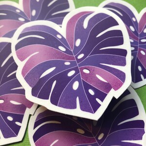 May include: Purple and pink monstera leaf stickers with white outlines. The stickers are stacked on top of each other.