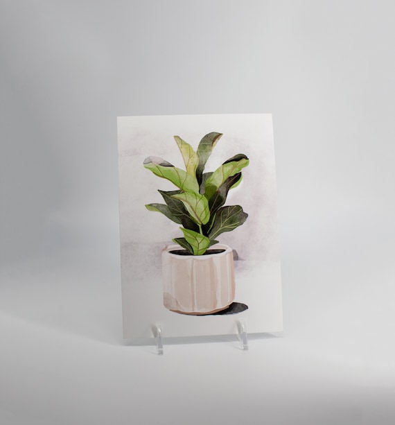 buy pothos plant Pothos Golden (Epipremnum aureum) – In Succulent Love main image 0
