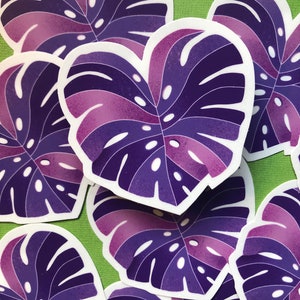May include: Purple and pink monstera leaf stickers with white outlines. The stickers are arranged in a cluster, overlapping each other.