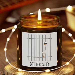 May include: A brown glass candle with a white label. The label has a cartoon goose wearing sunglasses and behind bars. The text on the label reads "GOT TOO SILLY".