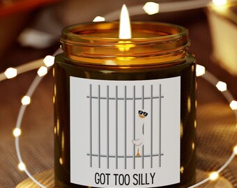 Funny Scented Candle: Silly Goose Coconut Apricot Wax, 4oz 9oz
