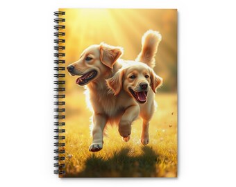 Golden Retriever in a Sunbeam