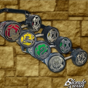 Hogwarts House Inspired Goggles image 1