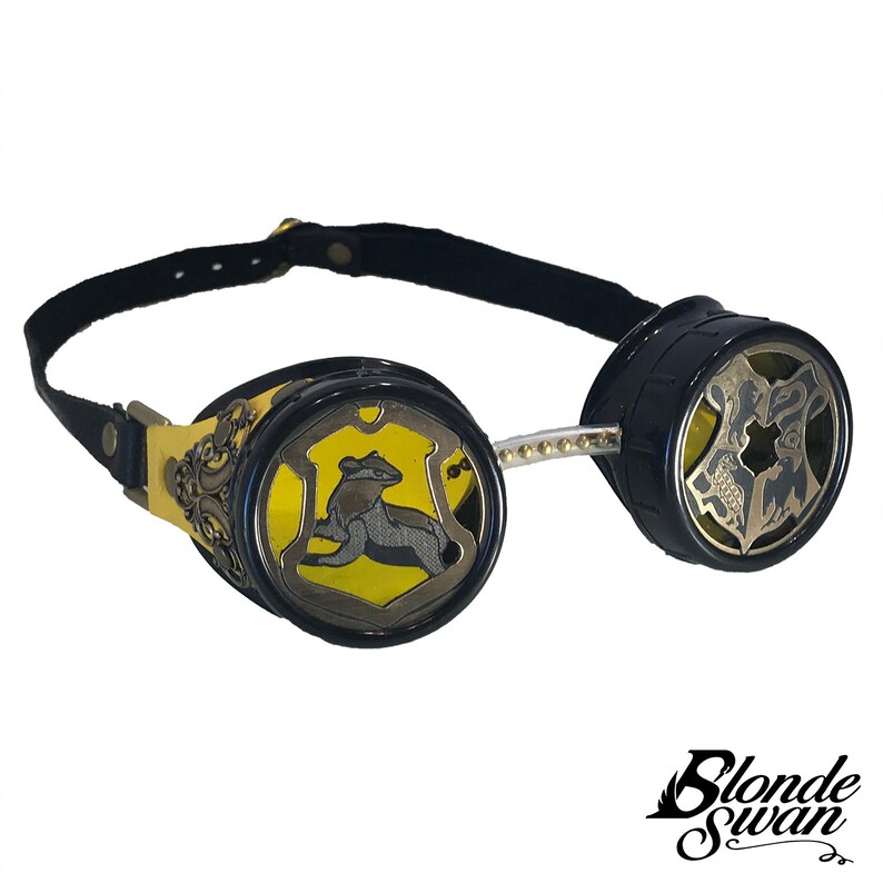 Hogwarts House Inspired Goggles image 3