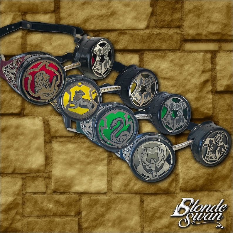 Hogwarts House Inspired Goggles image 1