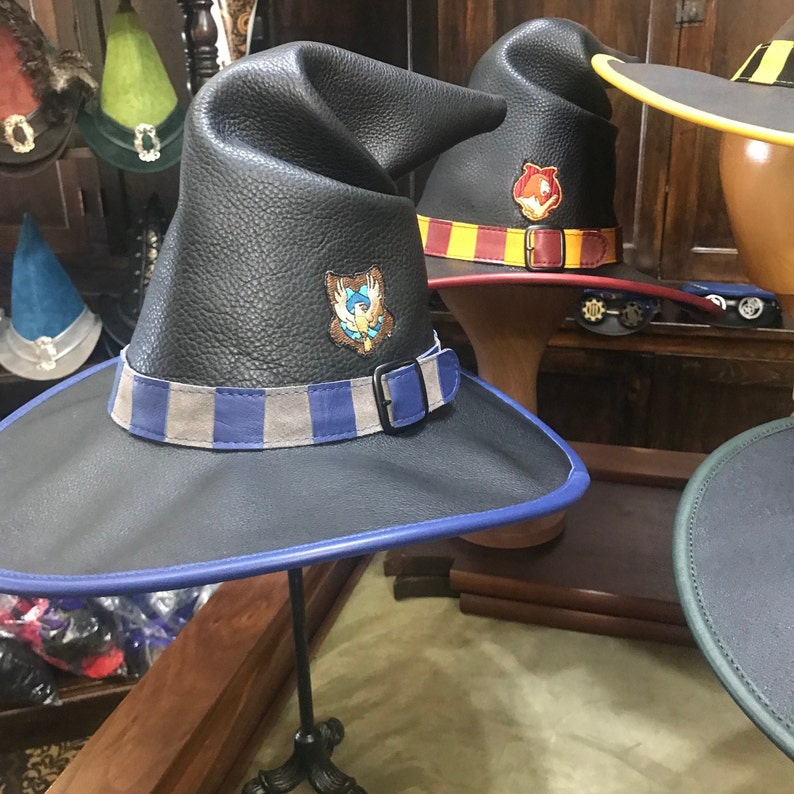 House Wizard Hat image 2