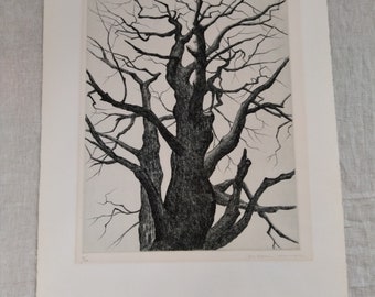 Fine art etching by Japanese Shigeru Kimura. 20th century. Bare tree. Editioned and signed print.