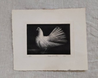 1963. Mezzotint print of a dove. Seigi Hosoda. editioned print
