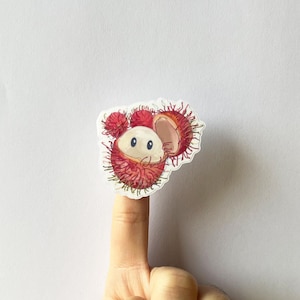 Joli autocollant asiatique « Fruits tropicaux » dessiné à la main RAMBUTAN pour carnets, agendas, scrapbooking et cartes postales - série 002