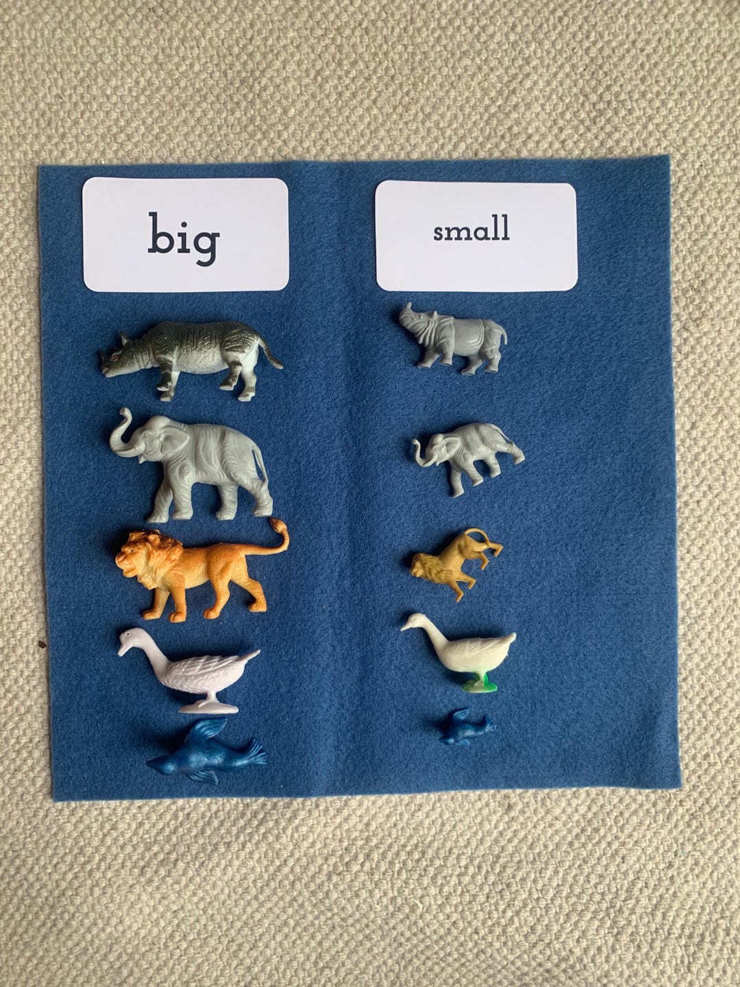 Montessori Classification Big Small Science Animal Sorting Set - Etsy