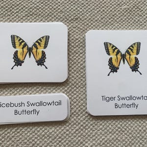 North American Butterfly Moth 3 Part Cards Montessori Science Nature Nomenclature Reading