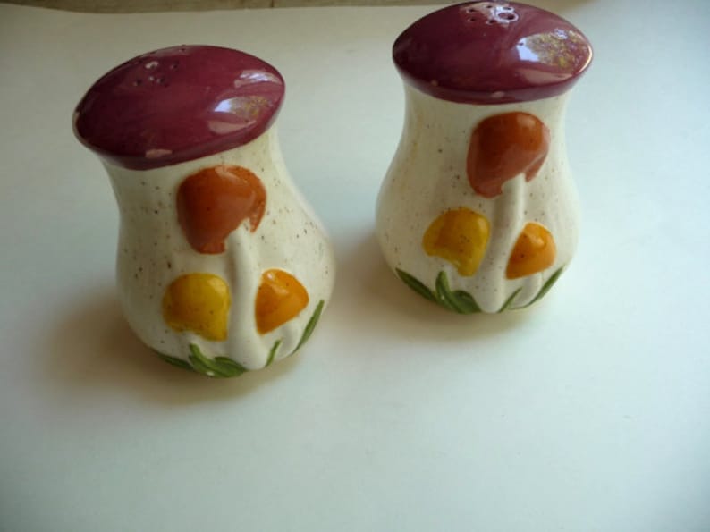 Vintage Shakers Glass Dispenser Vintage Kitchen Salt Pepper Retro Kitchen Mushrooms Seasoning Collectible