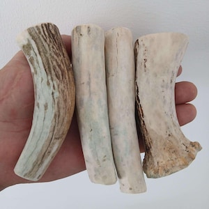 May include: Four antler dog chews, two are curved and two are straight. The antler chews are light brown and white.