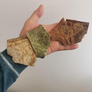 May include: A hand holds several irregularly shaped pieces of wood. The wood pieces vary in color, with shades of tan, brown, and green. The wood grain is visible, creating a natural, textured appearance. The pieces appear to be cut from a larger piece of wood.