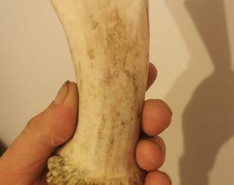 381. Messergriffmaterial aus Elchhorn (NATÜRLICH).