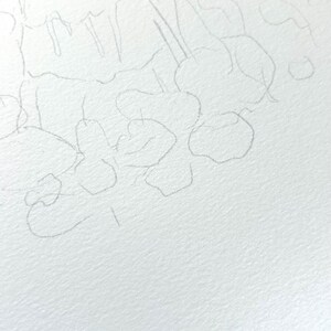 May include: A pencil sketch of a floral design with multiple flowers and leaves. The sketch is drawn on white paper.