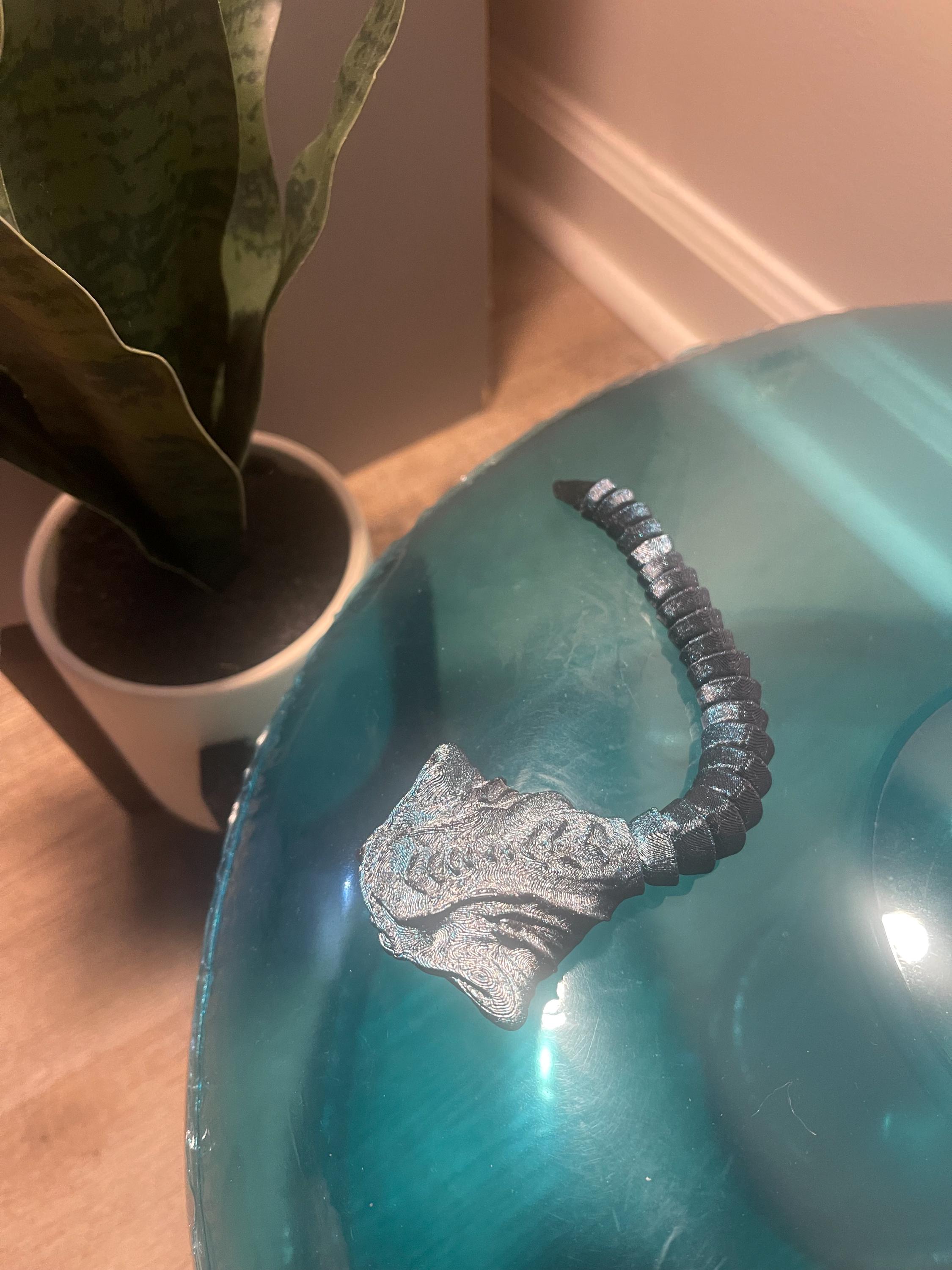 El Gran Maja Sea Creature Flexible 3D Printed Sea Creature Fidget Toy El Gran Maja Sea Creature Flexible 3D Printed Sea Creature Fidget Toy