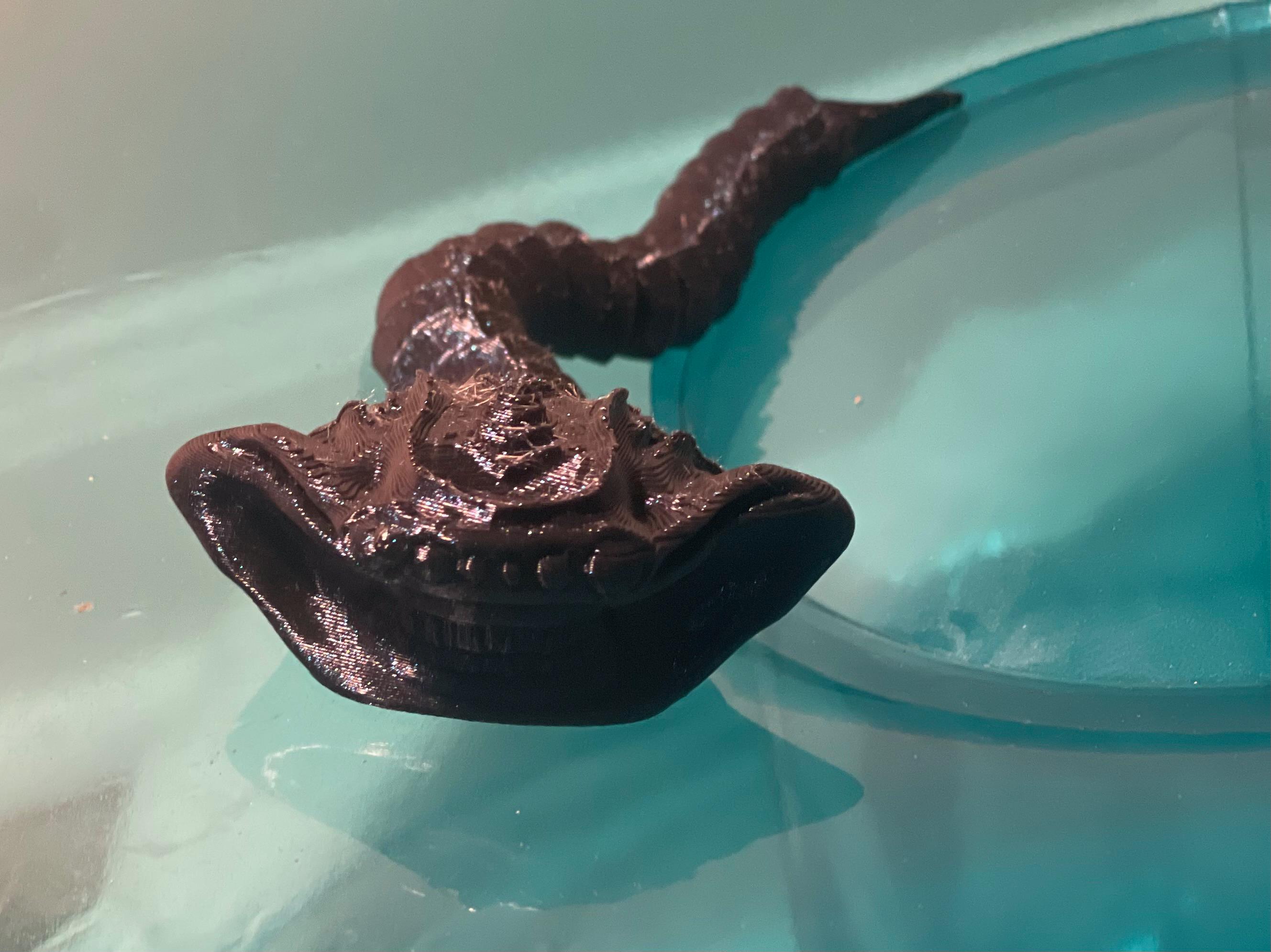 El Gran Maja Sea Creature - Flexible 3D Printed Sea Creature Fidget Toy