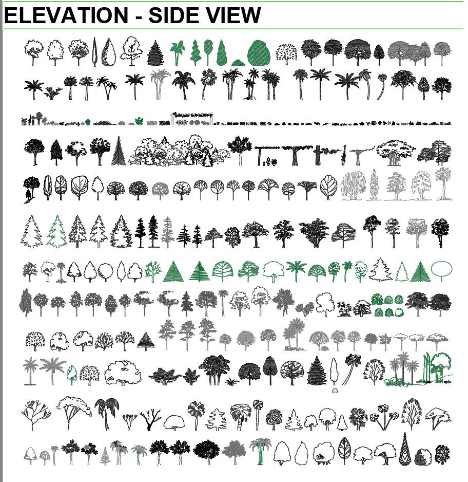 Autocad Landscape Blocks Collections Cad File - 700 + Blocks - Landscaping,  Trees, Plants & Other Vegetation - Etsy