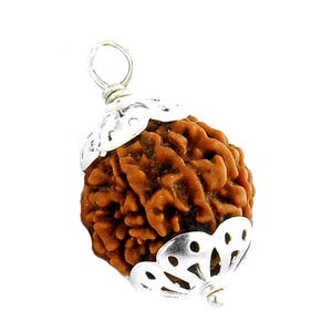 6 Mukhi Six Face Natural Rudraksha Unisex Pendant, Rudraksha for Venus Planet