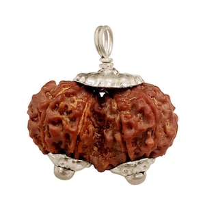 Gauri Shankar Rudraksha Silver Pendant, Indonesian Rudraksha Natural Rudraksha Bead Pendant