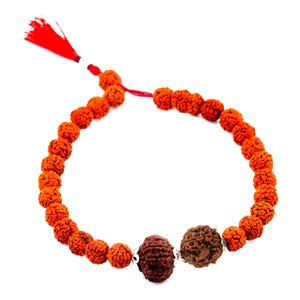 6 , 13 Mukhi (Six and 13 Face) Rudraksha Natural Nepal and Indonesian (Java) Bead Unisex  Bracelet