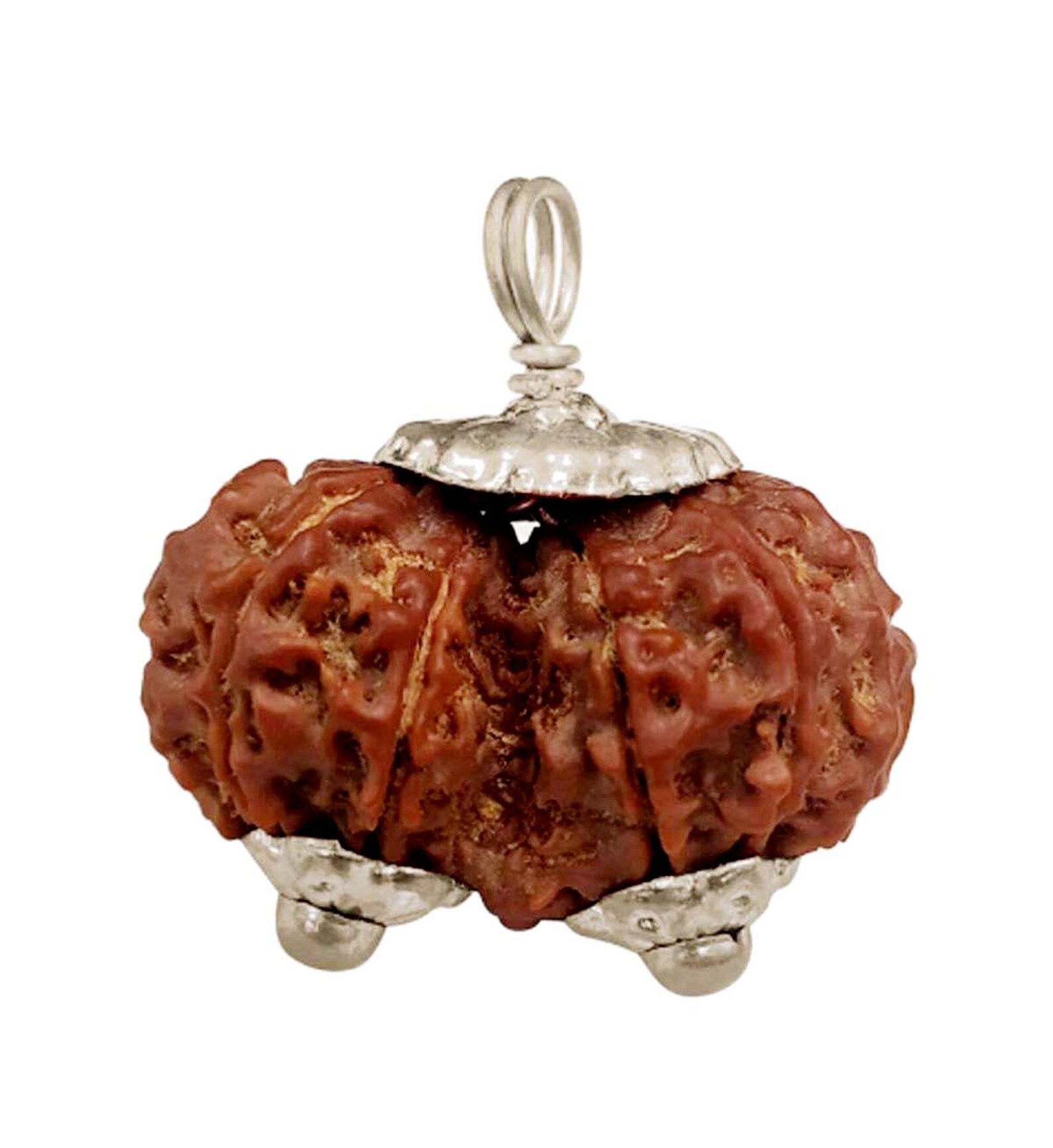 Gauri Shankar Rudraksha Silver Pendant: Indonesian Bead - Etsy